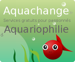 L'aquariophilie d'eau douce sur aquachange